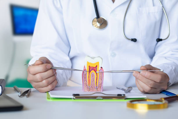 Best Emergency Dental Services for Seniors in Greensburg, IN